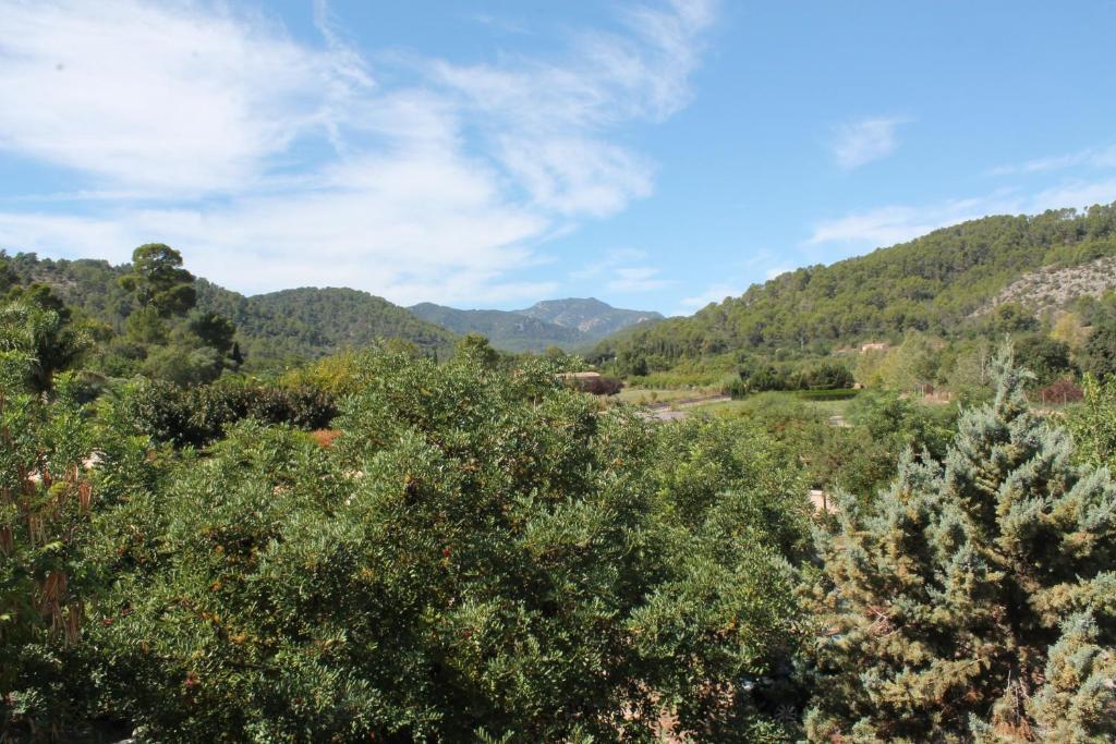 Loftotel Canet Esporles Szoba fotó